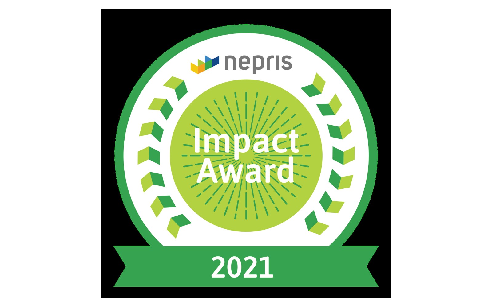 Impact Award 2021